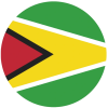 bandera-guyana